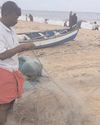 Preparations underway for 5th national marine fisheries census Preparations underway for 5th national marine fisheries census