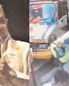 IAF official attack case: Action will be taken as per law, says K'taka CM IAF official attack case: Action will be taken as per law, says K'taka CM