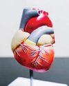 This cholesterol pill may fight high risk of heart attack, stroke: Study This cholesterol pill may fight high risk of heart attack, stroke: Study
