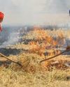 Punjab, Haryana, UP asked for 'Parali Protection Force' to end stubble burning Punjab, Haryana, UP asked for 'Parali Protection Force' to end stubble burning