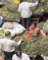Inflation cools to 6-yr low of 3.16 pc in April; sparks more rate cut hopes Inflation cools to 6-yr low of 3.16 pc in April; sparks more rate cut hopes