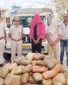 200 Kg ganja seized in Khordha, two arrested 200 Kg ganja seized in Khordha, two arrested