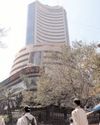 The Political and Business Daily