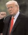 The Political and Business Daily