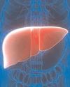 Study shows how plastic particles in food, beverages can harm your liver38