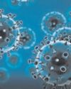 IIT Madras study shows viruses follow seasonal and yearly cycles11