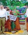 Paradip Port Authority celebrates World Environment Day 202527