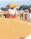 Minister Patra reviews Rabi paddy harvest, urges faster procurement and farmer protection11