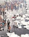 Delhi contributes to 76 per cent of Yamuna's pollution: Study63