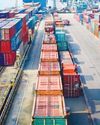 Govt imposes anti-dumping duties on vitamin A, rubber chemical imports from China, Japan, EU60
