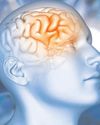 Study uncovers brain processes that help distinguish reality from imagination41