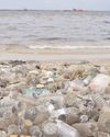 Patnaik appeals to people to not choke oceans with plastic waste22