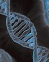 Study finds how genetic factors influence ADHD symptoms, autistic traits, anxiety38