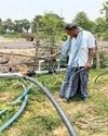 From Farmer to Fame: Mitrabhanu Patel cultivates success in every acre57