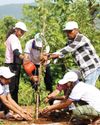 Vedanta Lanjigarh launches mega plantation drive to plant over 1 lakh trees across Kalahandi and Rayagada districts20