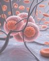 New AI tool analyses DNA for faster, affordable cancer monitoring40