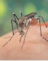 Indonesia steps up efforts to eliminate malaria by 203084