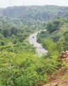 Revamped Green India Mission aims to restore ecosystems in Aravallis, Himalayas, Western Ghats5