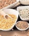 Govt says pulses and oilseeds production rising as many MPs express concern over imports The Political and Business Daily