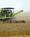 Agriculture, allied sector clocks 54.6 pc jump in output from 2011-12 to 2023-24 in India1