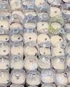 South Korea: Six Americans nabbed for trying to send plastic bottles with rice, dollar bills to North Korea77