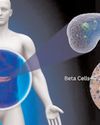 Protein abundant in human body worsening diabetes: IIT Bombay study38