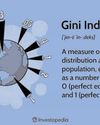 India's Gini Index: A Misleading Measure of Equality8