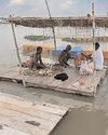 Four river sites in severe flood situation, says govt water body45