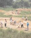 UP to plant 12.5 cr saplings under MGNREGA scheme58