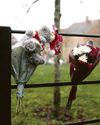 Two women killed in Christmas Day 'stabbing' horror