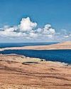 Free as a bird in wildlife job on island with no residents