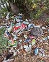 Litter blights most places says charity6