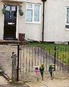 Woman, 19, is killed in 'XL Bully' attack12
