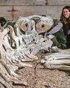 £80k bid to repair Moby Dick's chum £80k bid to repair Moby Dick's chum