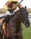 MULLINS: ‘GOLD CUP WIN WOULD TOP THE LOT’ MULLINS: ‘GOLD CUP WIN WOULD TOP THE LOT’