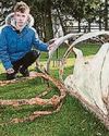 Lad detects warplane in back garden Lad detects warplane in back garden