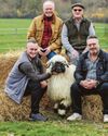 Baahind the scenes of Britain's favourite farm Baahind the scenes of Britain's favourite farm