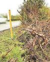 Teen driver's guilt at triple crash deaths Teen driver's guilt at triple crash deaths