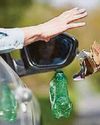 3m animals a year killed by litter on road 3m animals a year killed by litter on road