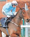 MR INCREDIBLE GETS GREEN LIGHT FOR AYR MR INCREDIBLE GETS GREEN LIGHT FOR AYR