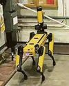 Robot dog in risky walk at nuclear plant Robot dog in risky walk at nuclear plant