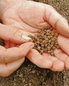 TOP 5 GARDENING JOBS TOP 5 GARDENING JOBS