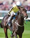 Guineas added to Hawkeye plan Guineas added to Hawkeye plan