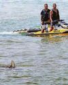 Remains are found after shark attack Remains are found after shark attack
