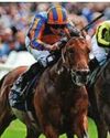 WINTER SET FOR YORK89
