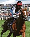 GOLDEN BOY KYPRIOS RETIRED55