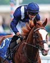 ECO TO MISS ROYAL DATE58