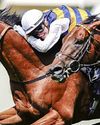 Docklands produces the goods in thrilling finish Docklands produces the goods in thrilling finish81