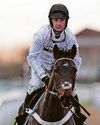 HILL READY FOR FLAT DEBUT38