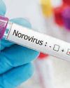 Norovirus cases rise 61% as flu eases off Norovirus cases rise 61% as flu eases off15